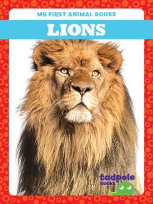 cover image of Lions